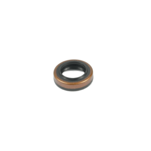 806718100 Oil Seal