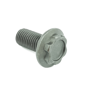 800610690 Bolt front gear set