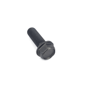 800610670 Bolt 10x30x25