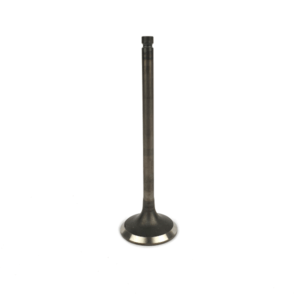 13202AA381 Exhaust valve Subaru