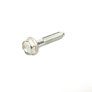 808106220 Bolt Water Pipe 6x30x18